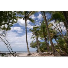 20051027231456 img 5992 web