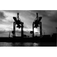 20051029141420 img 5595 web