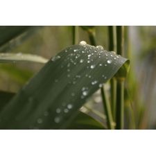 20060704000509 img 2606