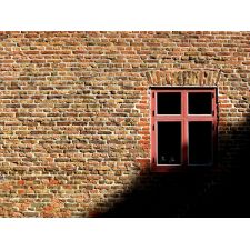 20070908220604 img 0413