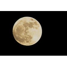 20070920230514 img 3713 600