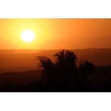 20071113231004 img 5663