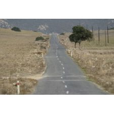 20071114213356 img 5618