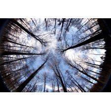 20080104222913 img 5962