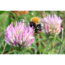 20080729010159 img 1593