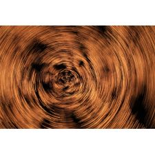 20090113004153 img 2528