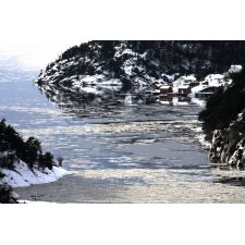 20090301162836 fjord web