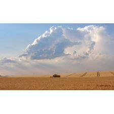 20100712223529 mdrescher